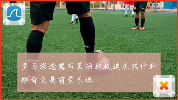 罗马诺透露布莱顿积极追求武什科维奇交易前景乐观