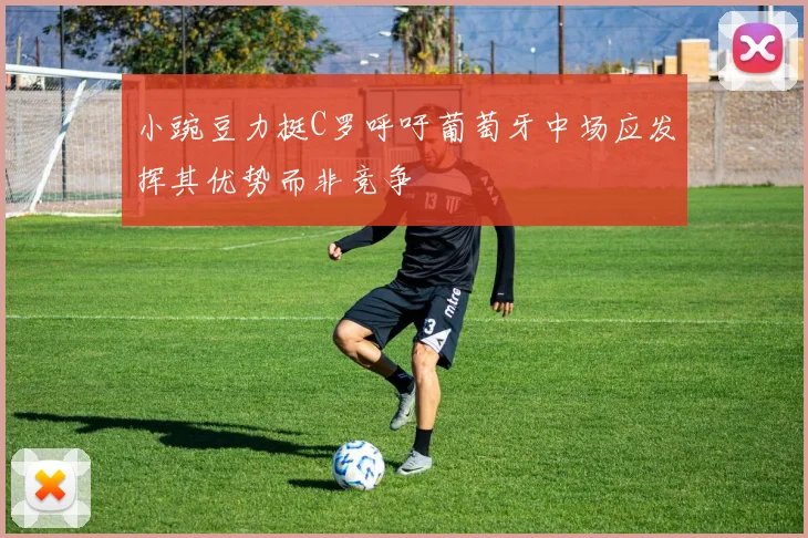 小豌豆力挺C罗呼吁葡萄牙中场应发挥其优势而非竞争