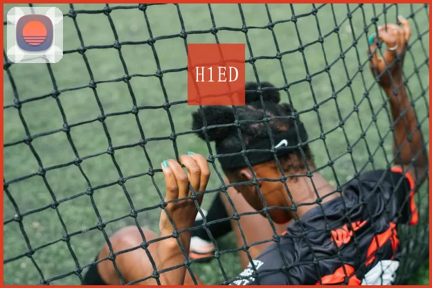 H1ED